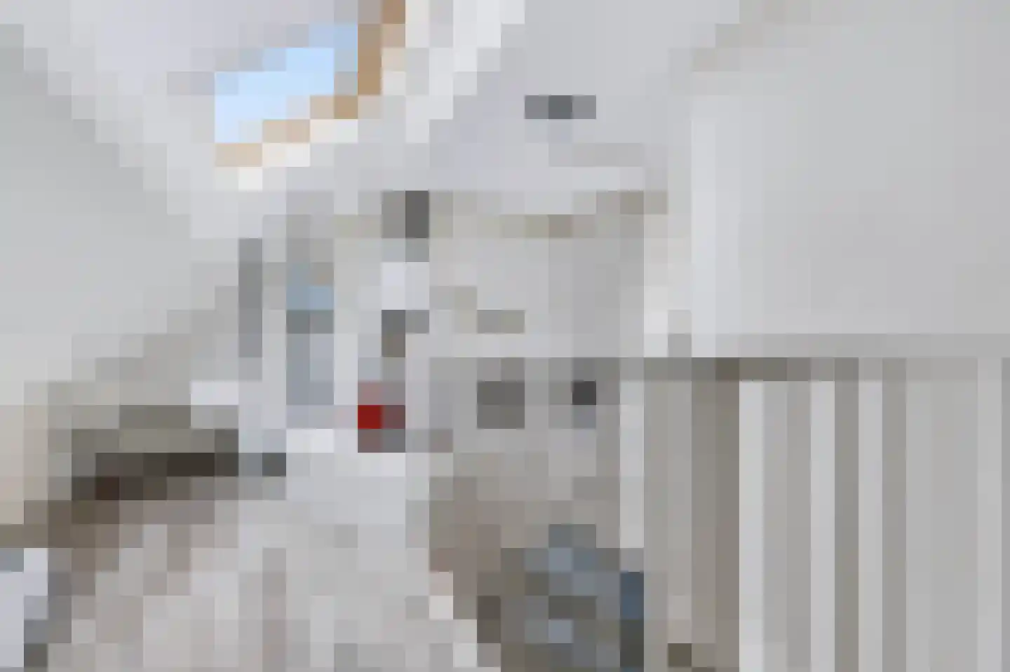 Het Kasteel 35 Apeldoorn thumbnail 28