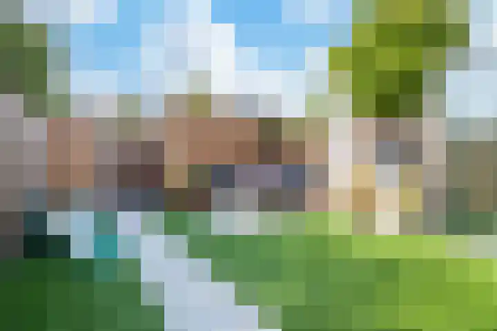 Het Kasteel 383 Apeldoorn thumbnail 10