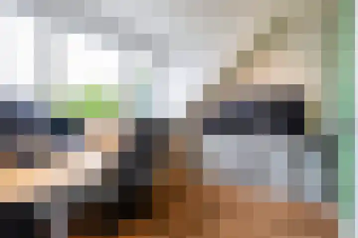 Het Kasteel 504 Apeldoorn thumbnail 25
