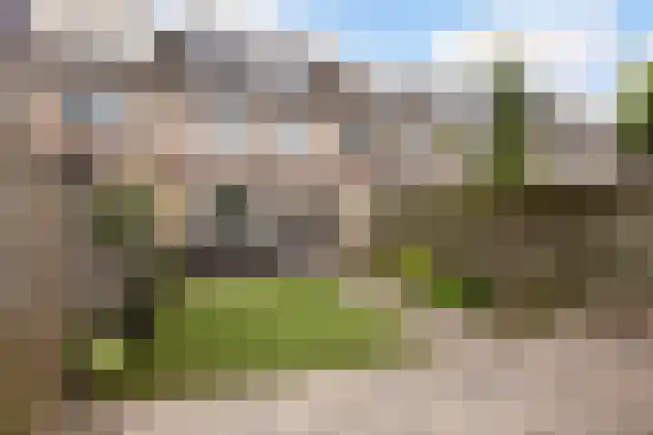 Het Kasteel 504 Apeldoorn thumbnail 26