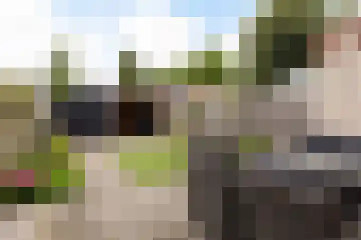 Het Kasteel 504 Apeldoorn thumbnail 4