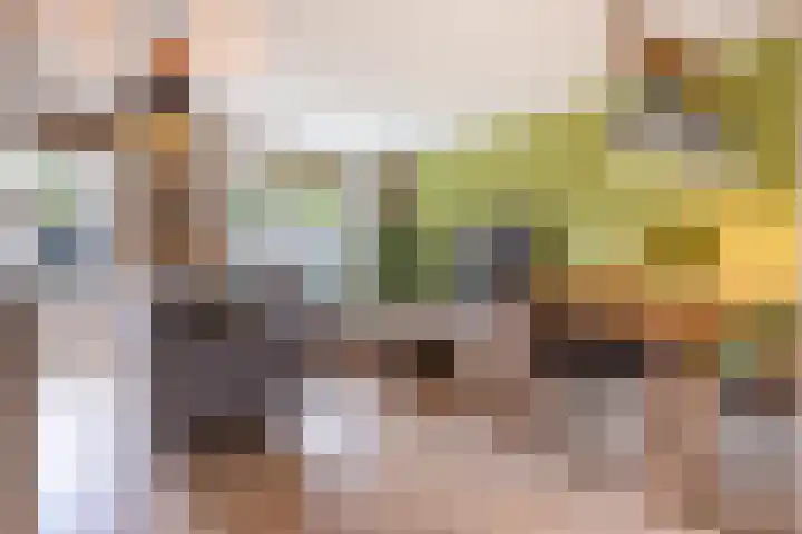 Het Kasteel 504 Apeldoorn thumbnail 6
