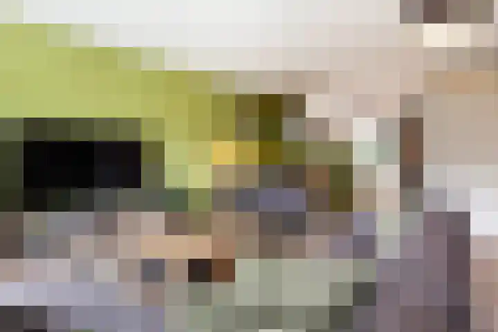 Het Kasteel 504 Apeldoorn thumbnail 7