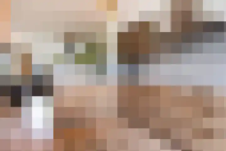 Het Kasteel 504 Apeldoorn thumbnail 9