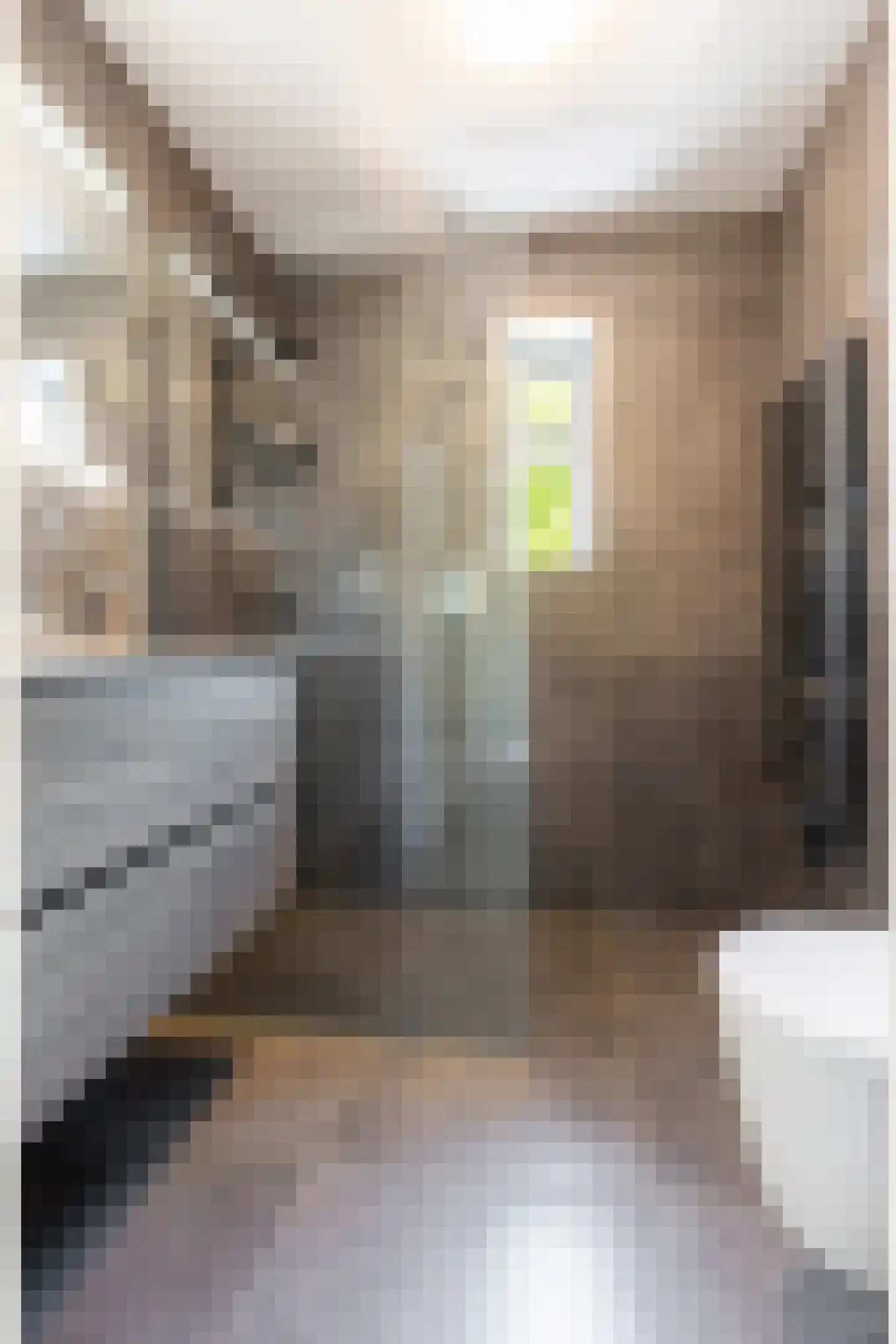Het Kasteel 535 Apeldoorn thumbnail 23
