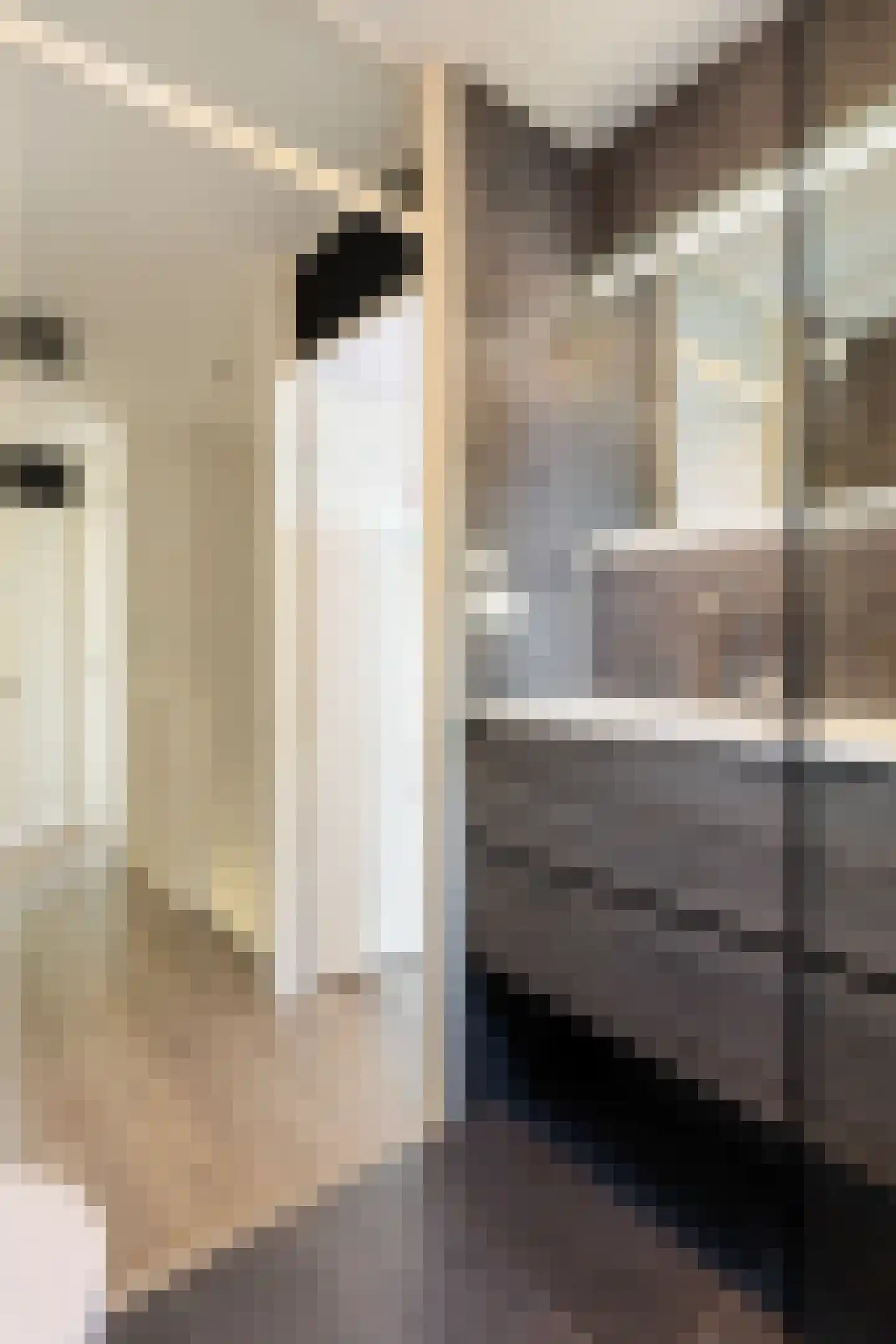 Het Kasteel 535 Apeldoorn thumbnail 24
