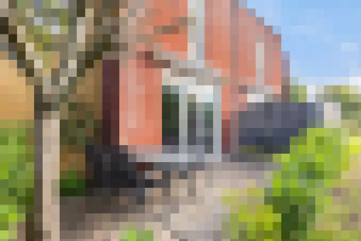 Het Kasteel 535 Apeldoorn thumbnail 9
