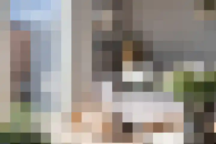 Het Kasteel 537 Apeldoorn thumbnail 13