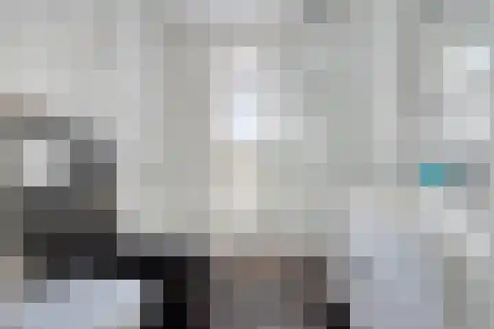 Het Kasteel 537 Apeldoorn thumbnail 26