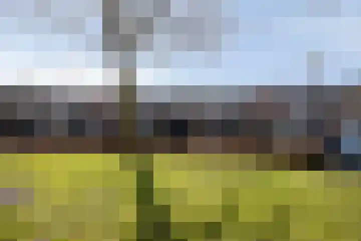 Het Kasteel 537 Apeldoorn thumbnail 4