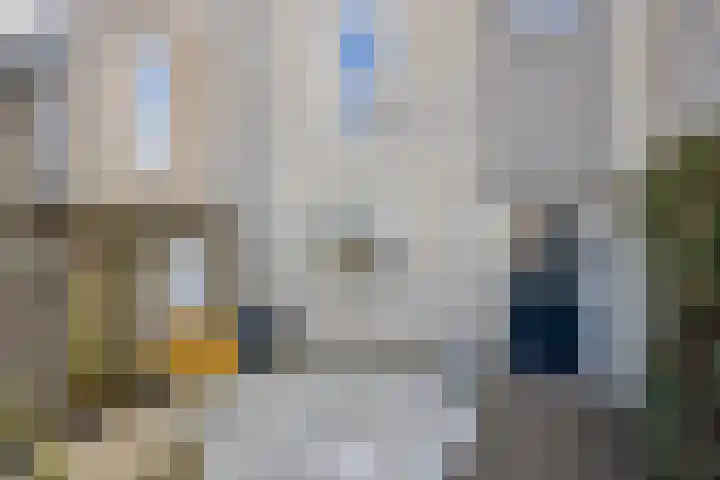 Het Kasteel 537 Apeldoorn thumbnail 7