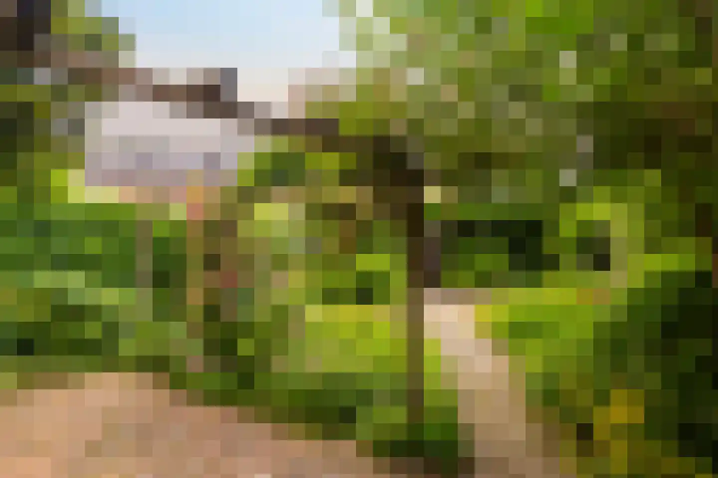 Het Kasteel 730 Apeldoorn thumbnail 15