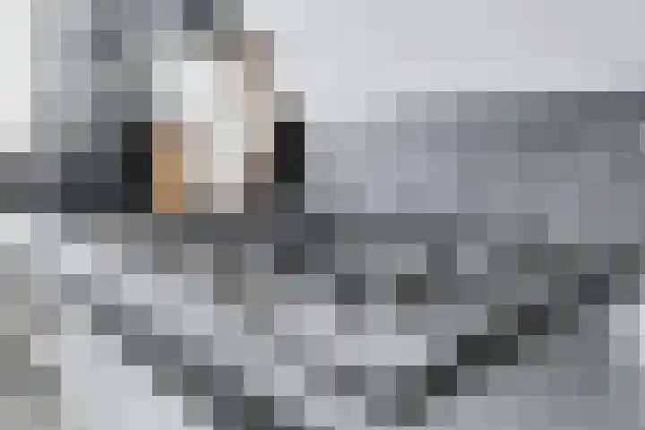 Het Katsland 15 Ochten thumbnail 11