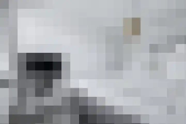Het Katsland 15 Ochten thumbnail 17