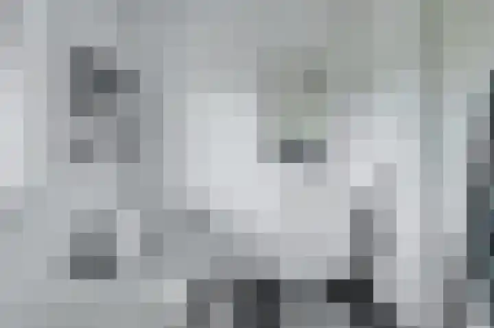 Het Katsland 15 Ochten thumbnail 25