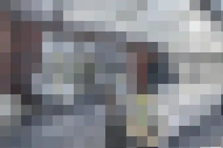 Het Katsland 15 Ochten thumbnail 36