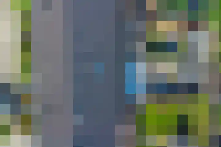 Het Katsland 15 Ochten thumbnail 42