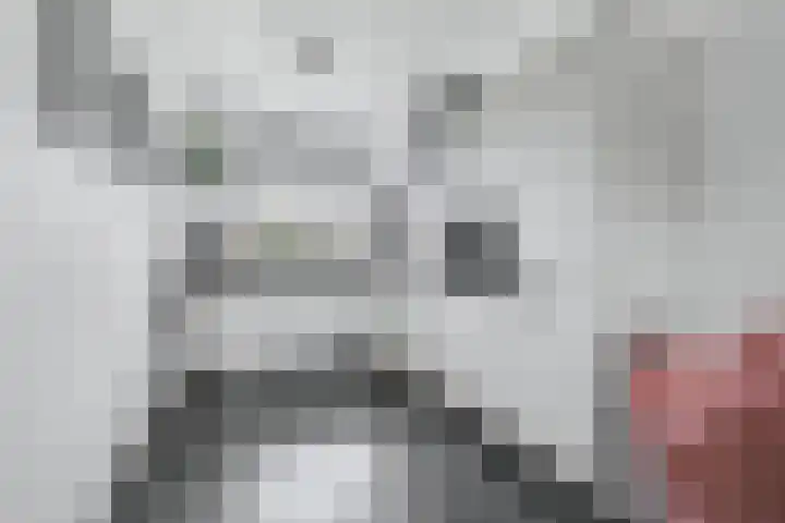 Het Katsland 15 Ochten thumbnail 9