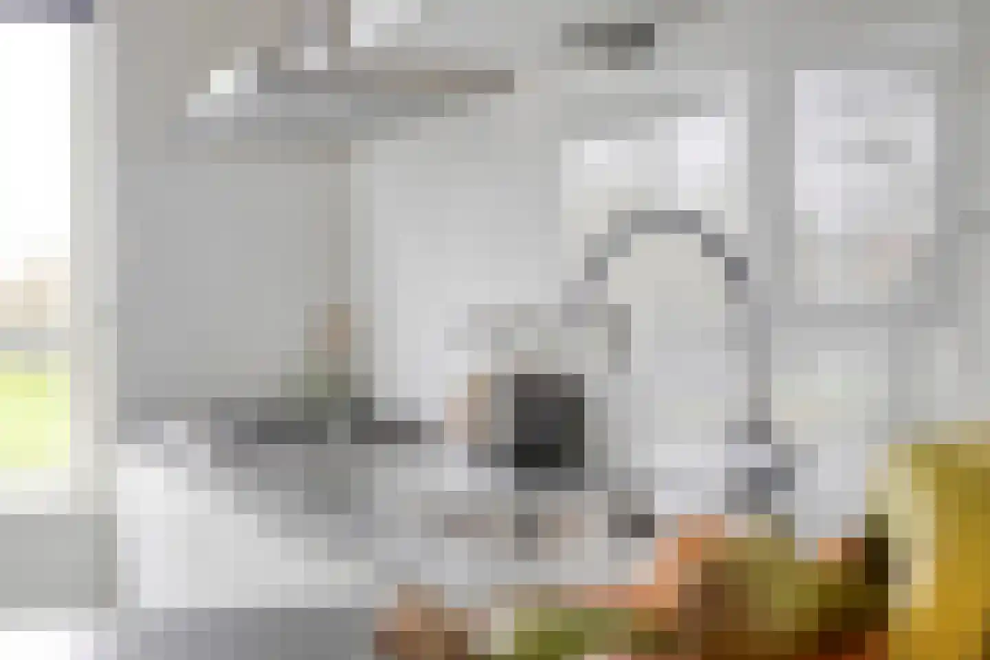 Het Katsland 21 Ochten thumbnail 4