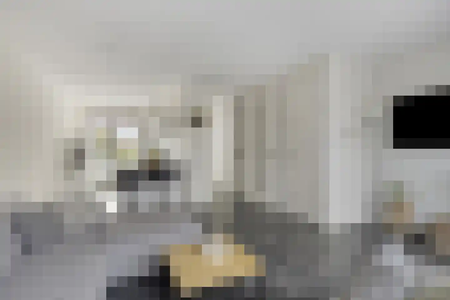 Het Katsland 21 Ochten thumbnail 7