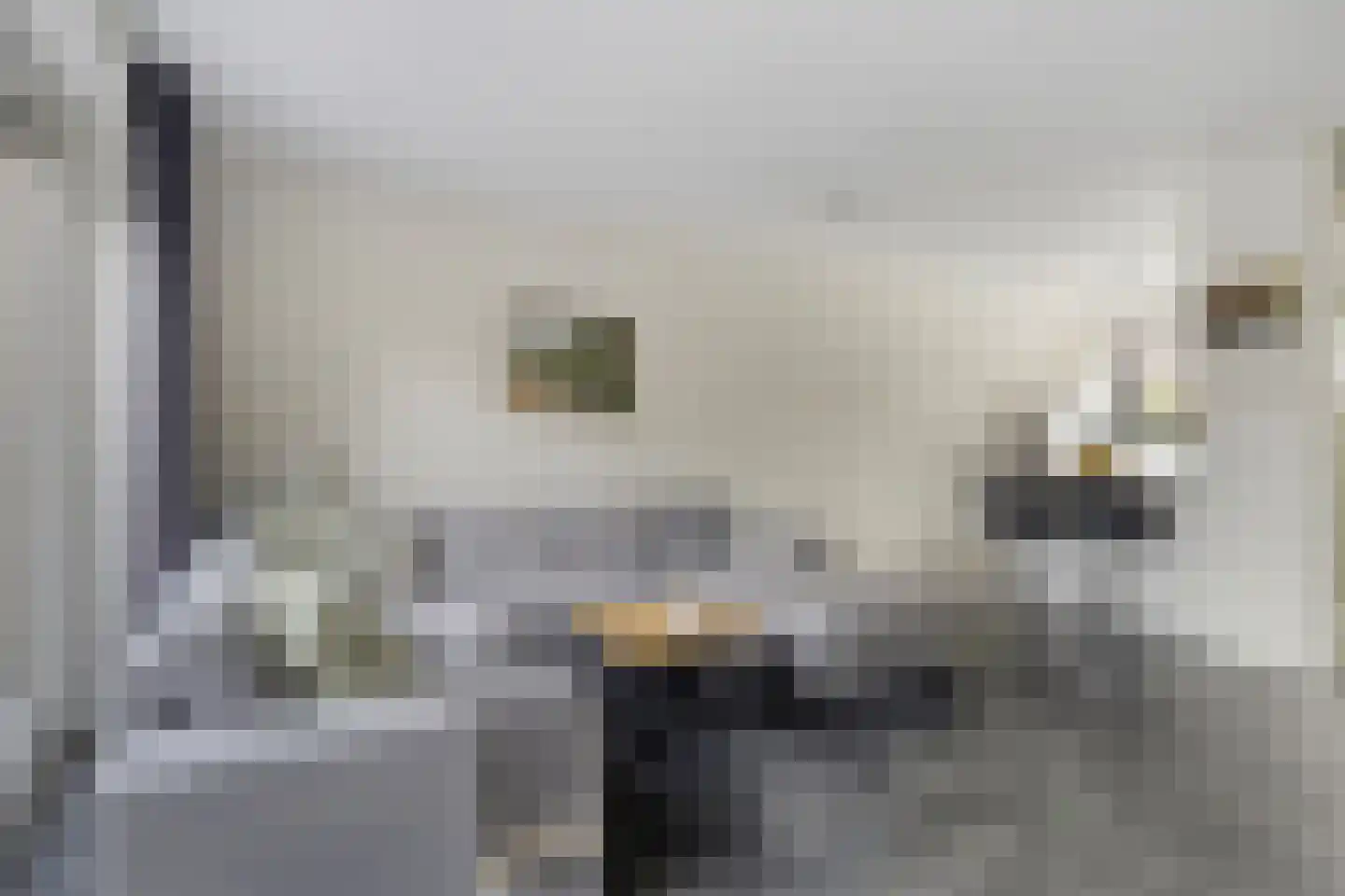 Het Katsland 21 Ochten thumbnail 8