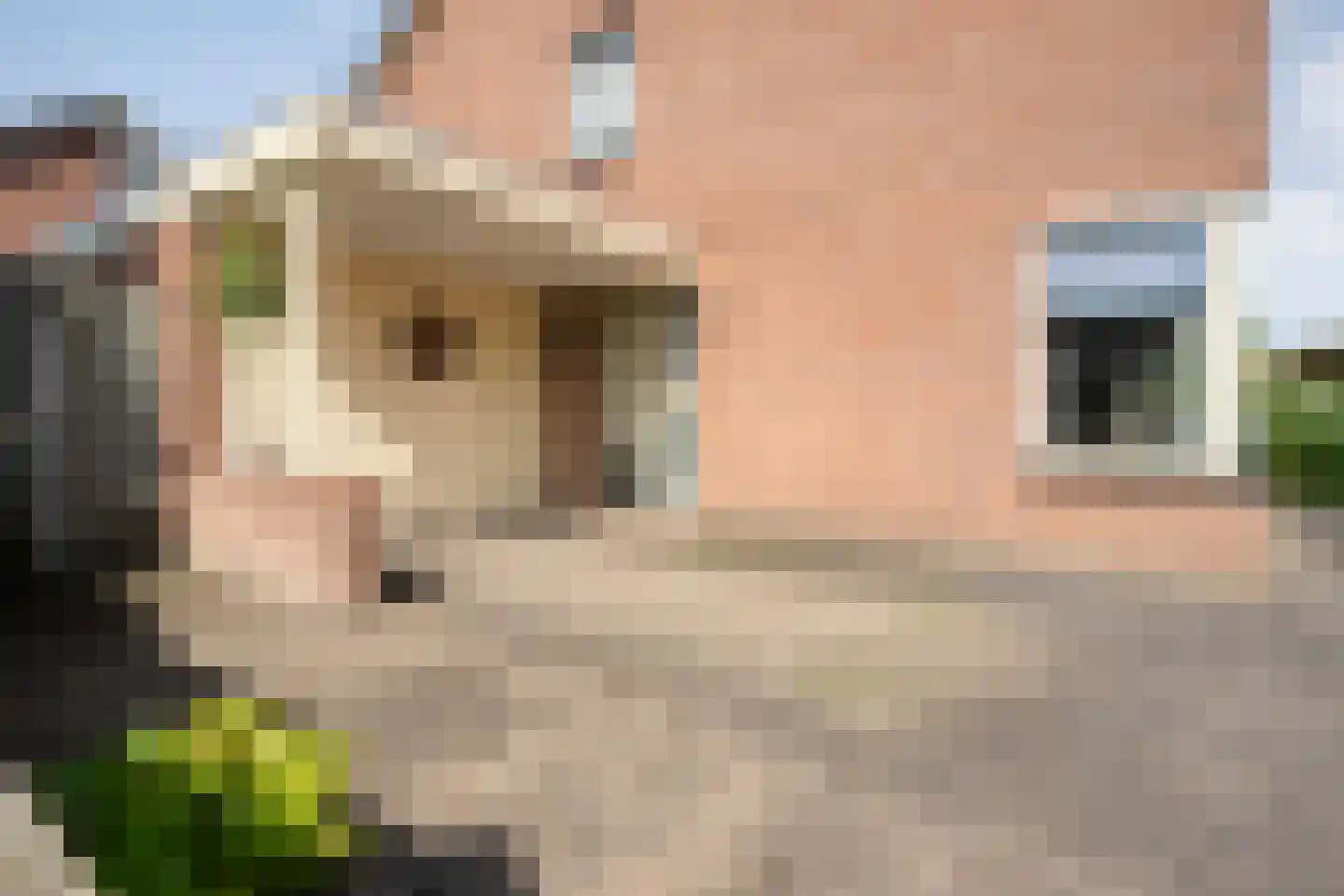 Het Kempke 24 Geesteren thumbnail 5
