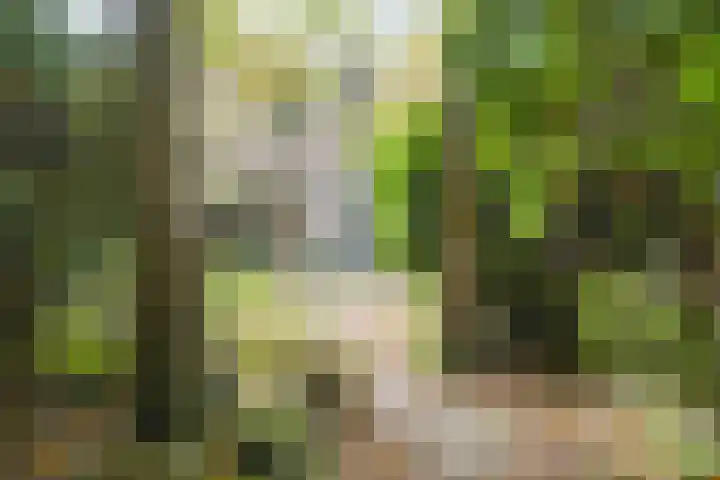 Het Kerkehout 39 Wassenaar thumbnail 18