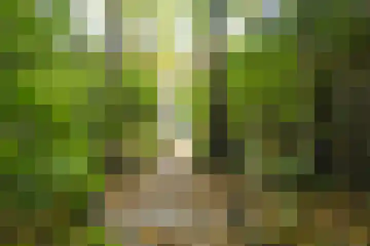 Het Kerkehout 39 Wassenaar thumbnail 20
