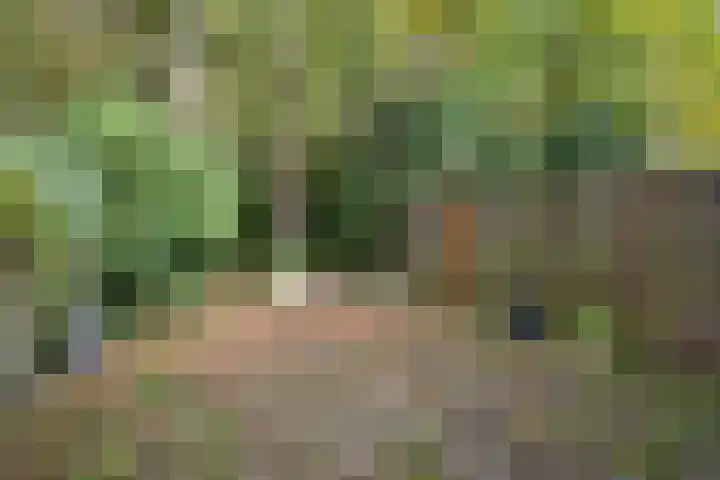 Het Kerkehout 39 Wassenaar thumbnail 21