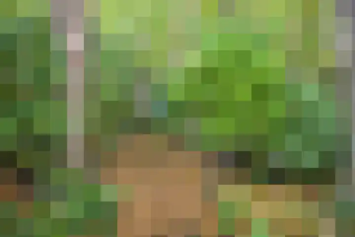 Het Kerkehout 39 Wassenaar thumbnail 22