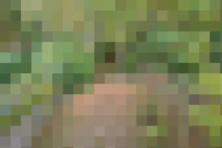 Het Kerkehout 39 Wassenaar thumbnail 31