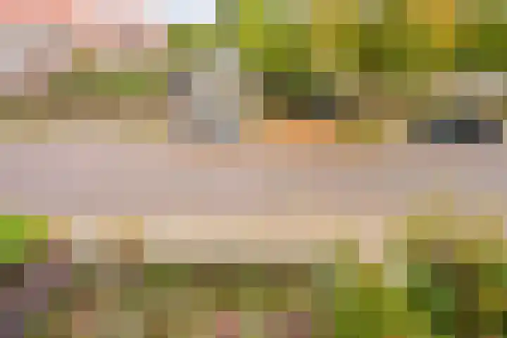 Het Kerkehout 39 Wassenaar thumbnail 38