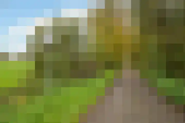 Het Kerkehout 39 Wassenaar thumbnail 39