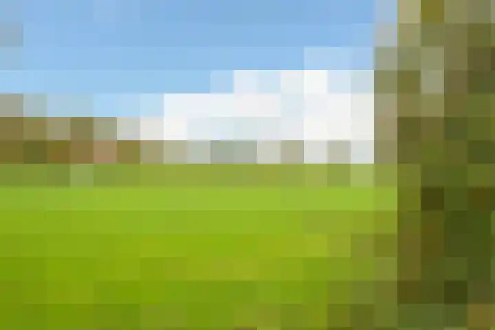 Het Kerkehout 39 Wassenaar thumbnail 40