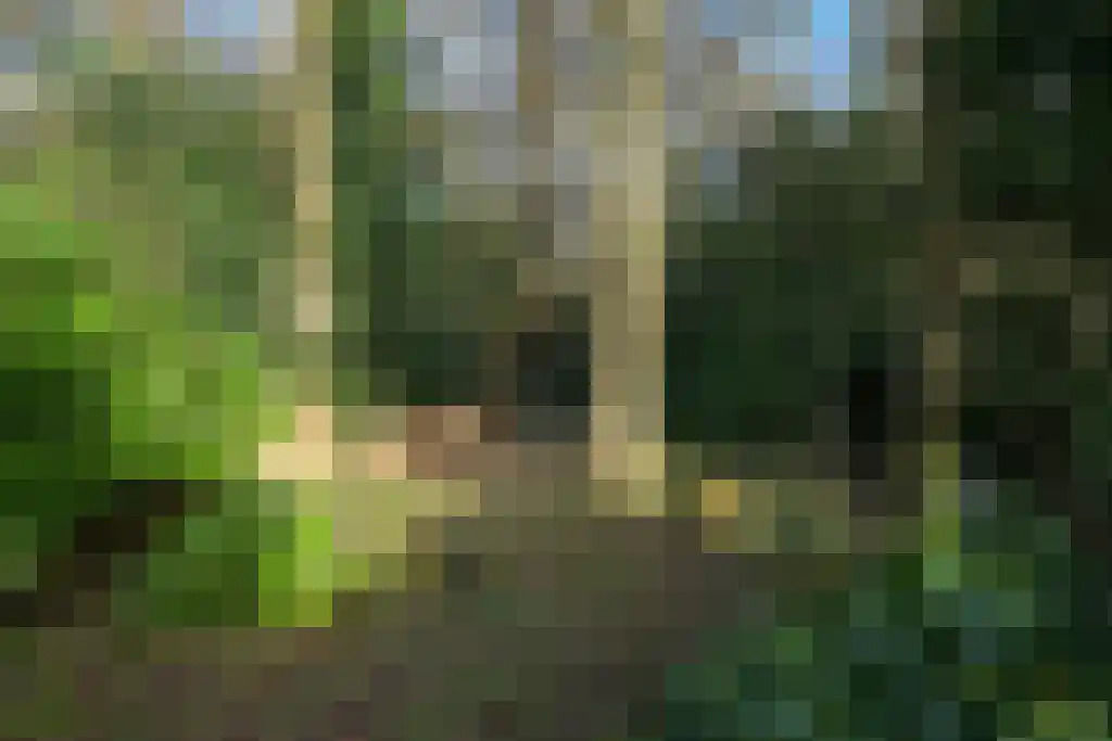 Het Kerkehout 47 Wassenaar thumbnail 6