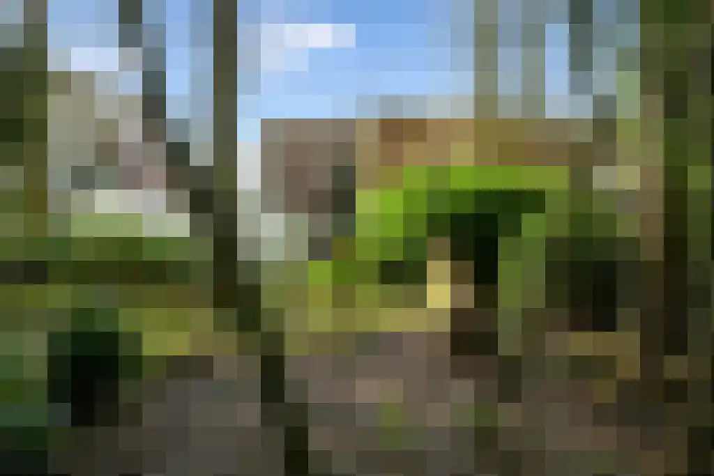 Het Kerkehout 47 Wassenaar thumbnail 7