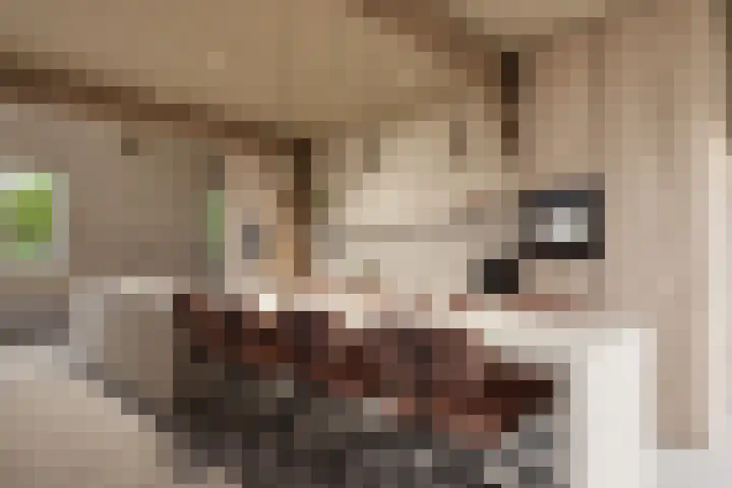 Het Kerkehout 64 Wassenaar thumbnail 10