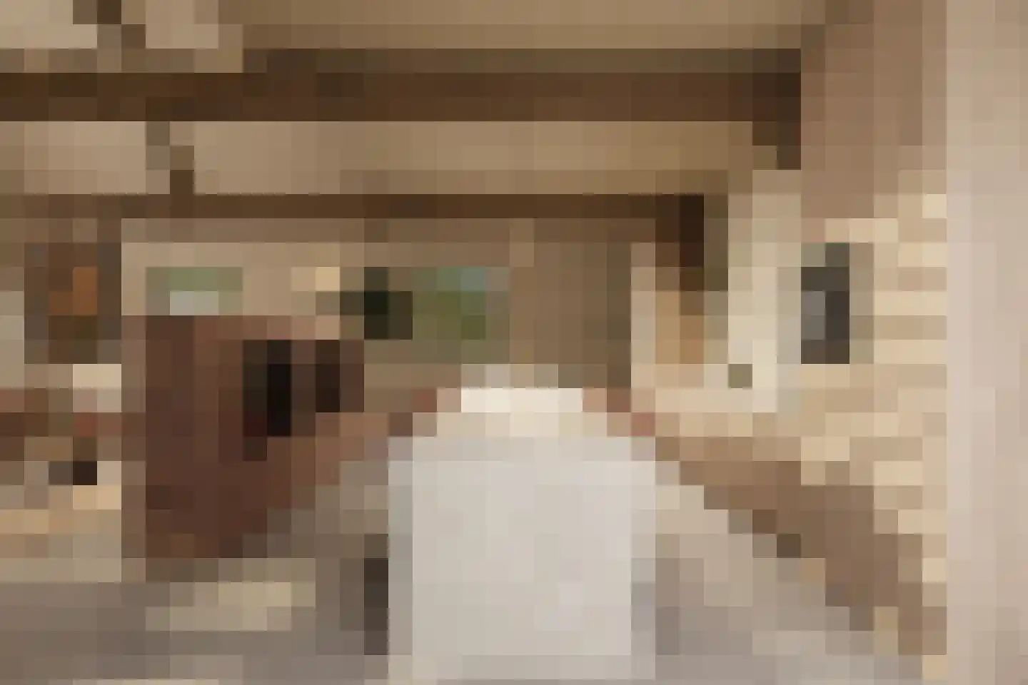 Het Kerkehout 64 Wassenaar thumbnail 11