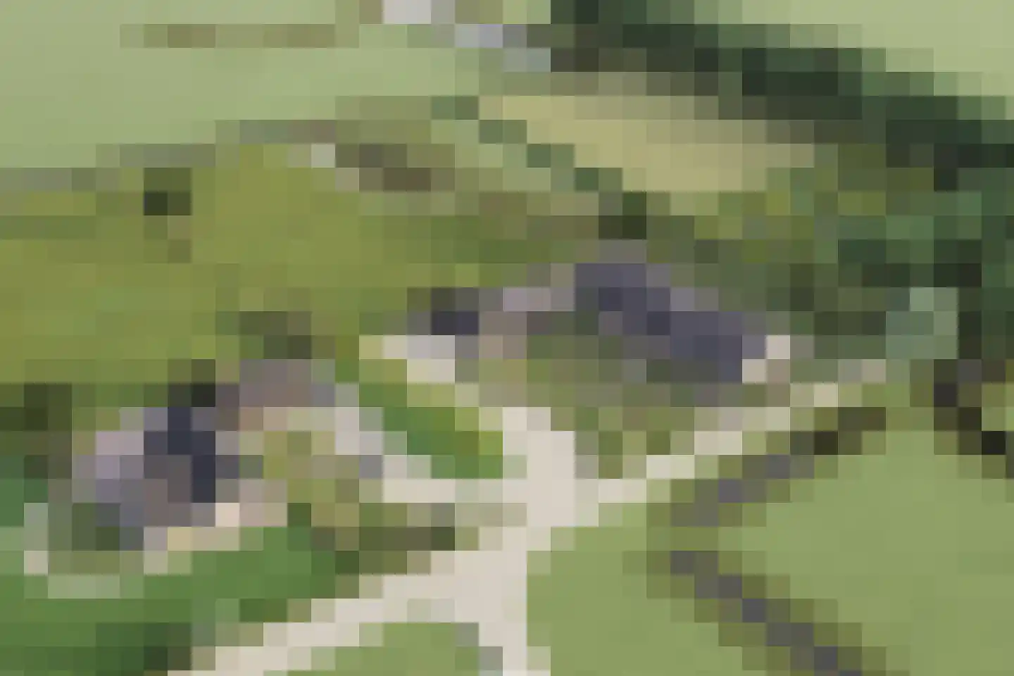 Het Kerkehout 64 Wassenaar thumbnail 18