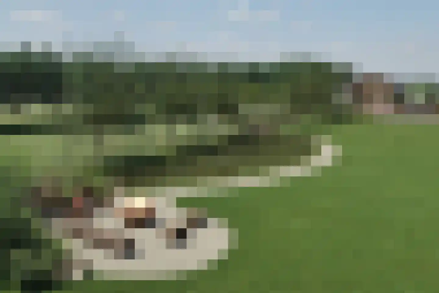 Het Kerkehout 64 Wassenaar thumbnail 20