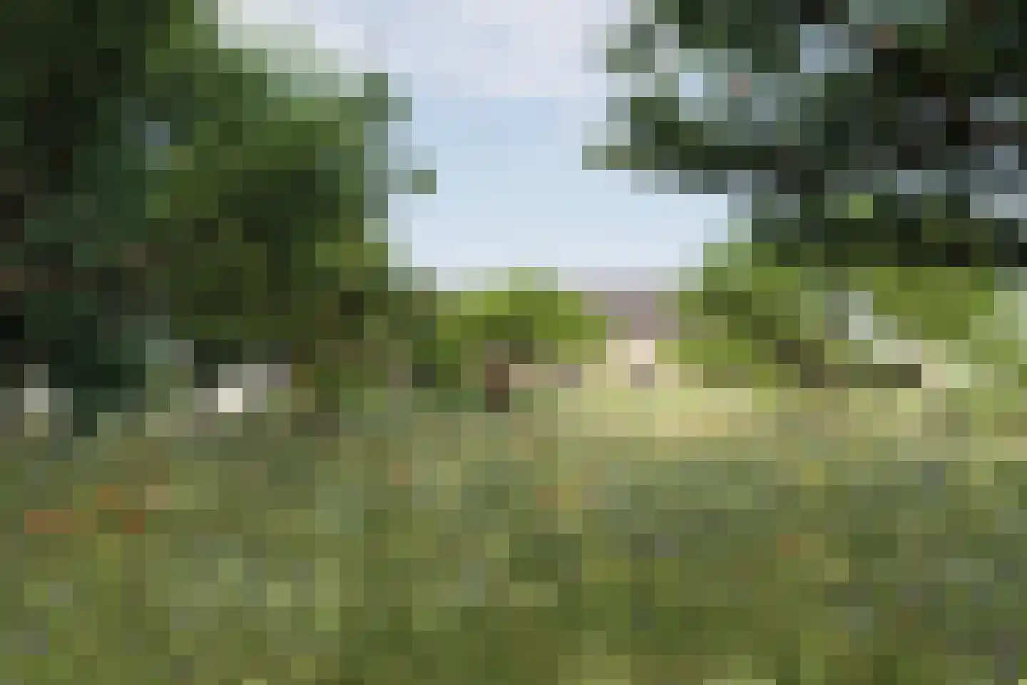 Het Kerkehout 64 Wassenaar thumbnail 22