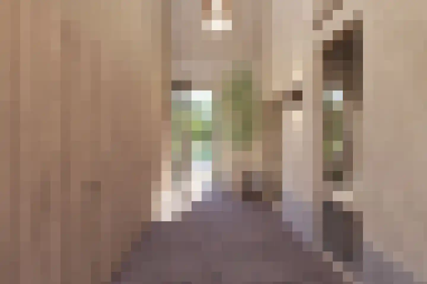 Het Kerkehout 64 Wassenaar thumbnail 5