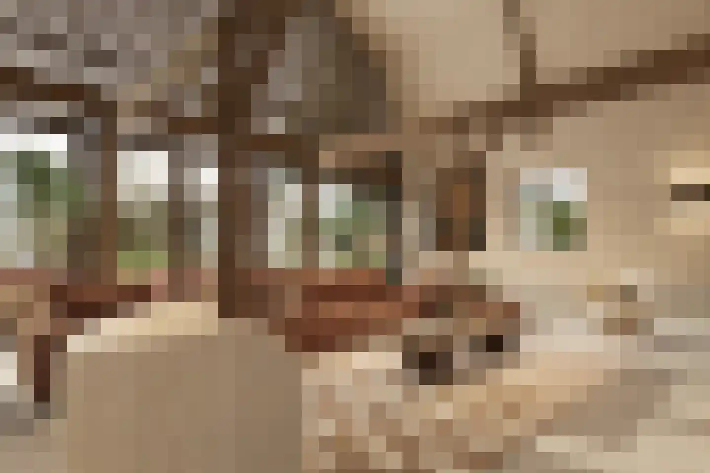 Het Kerkehout 64 Wassenaar thumbnail 8