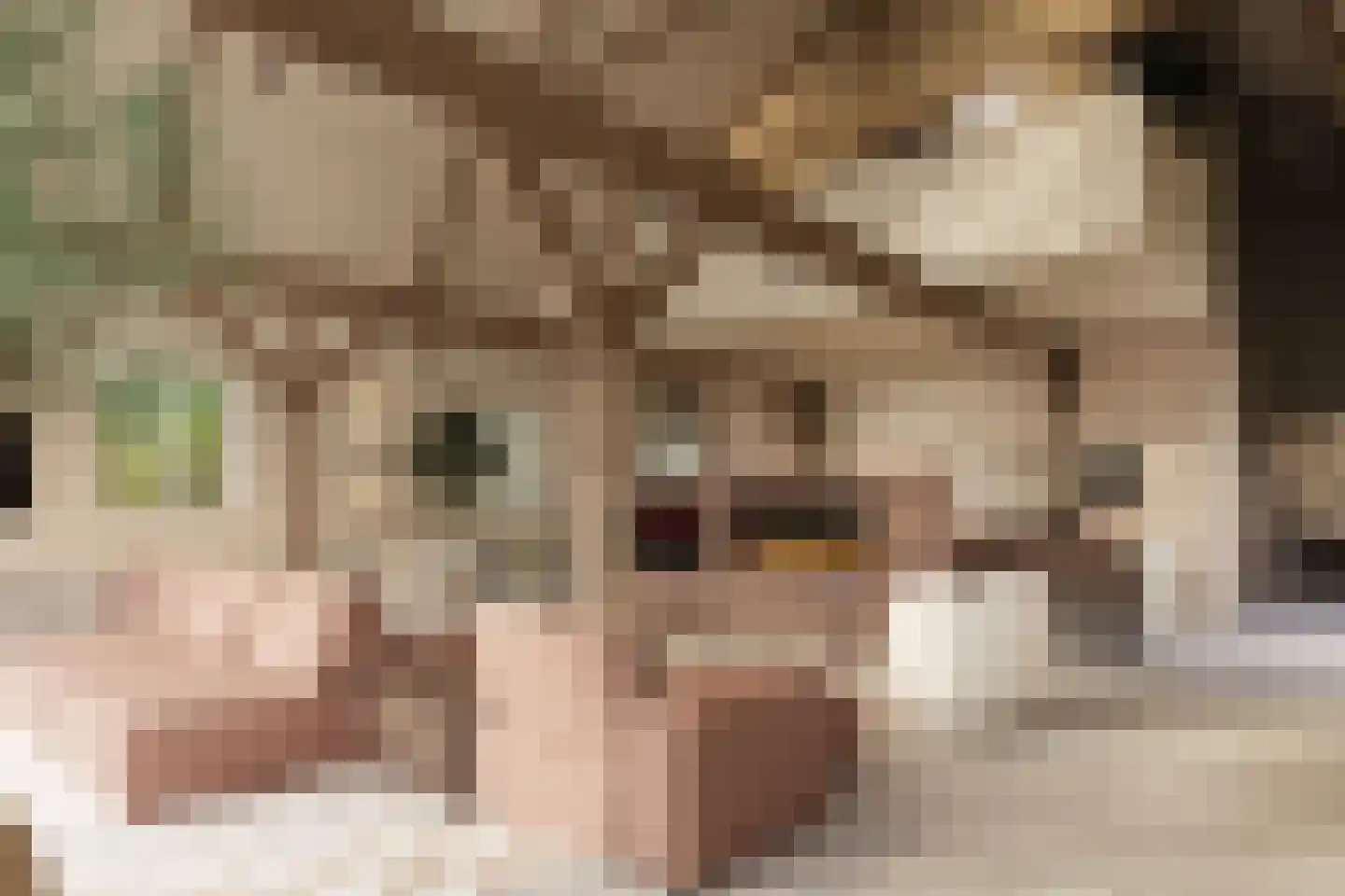 Het Kerkehout 64 Wassenaar thumbnail 9