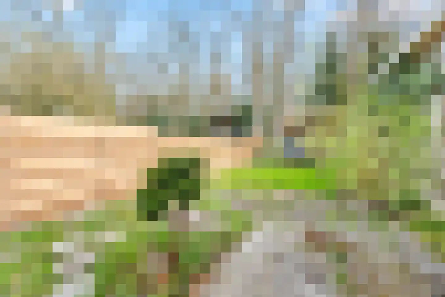 Het Kerkehout 69 Wassenaar thumbnail 18