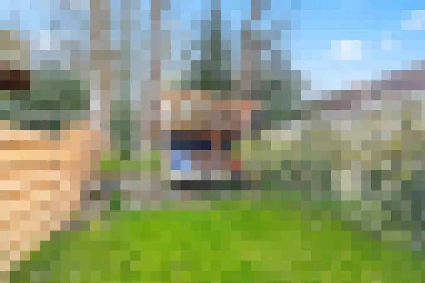 Het Kerkehout 69 Wassenaar thumbnail 19
