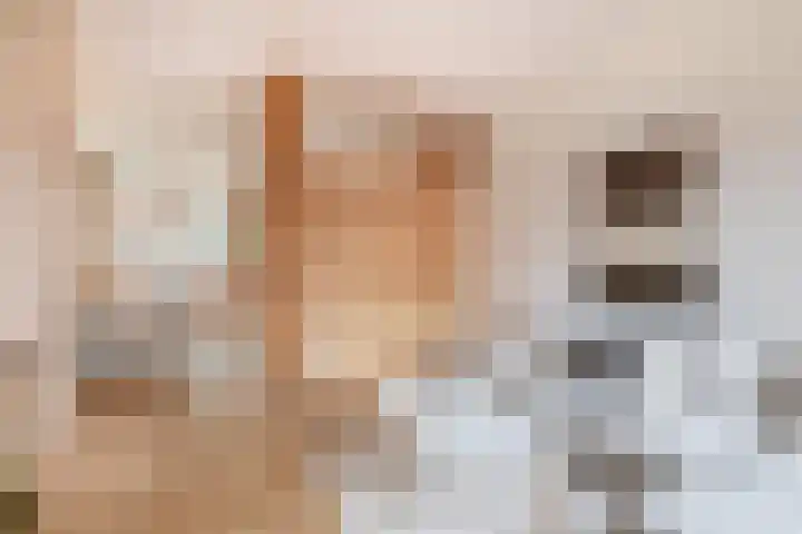 Het Kerkehout 71 Wassenaar thumbnail 5