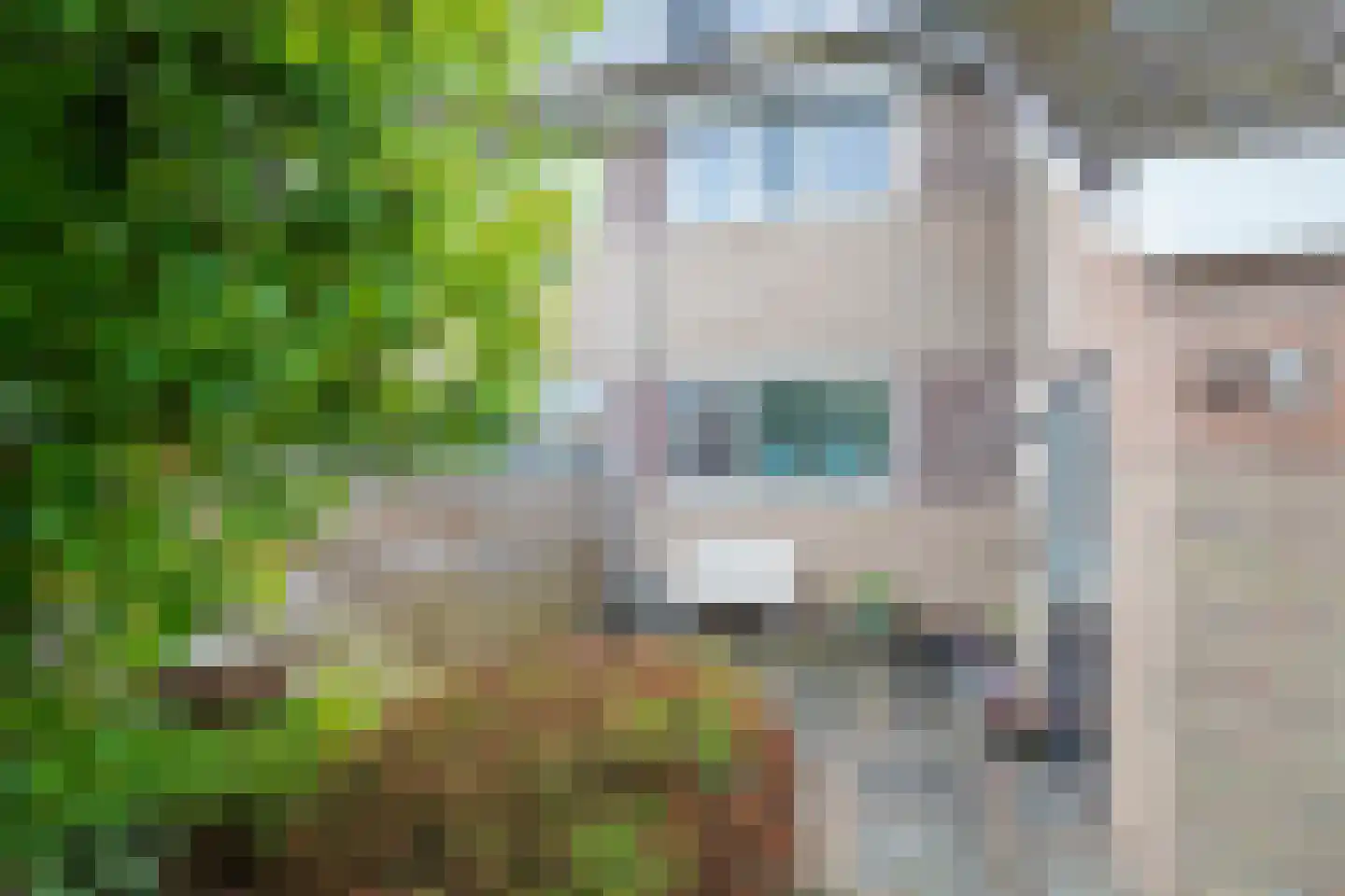 Het Kerspel 40 Hasselt thumbnail 12