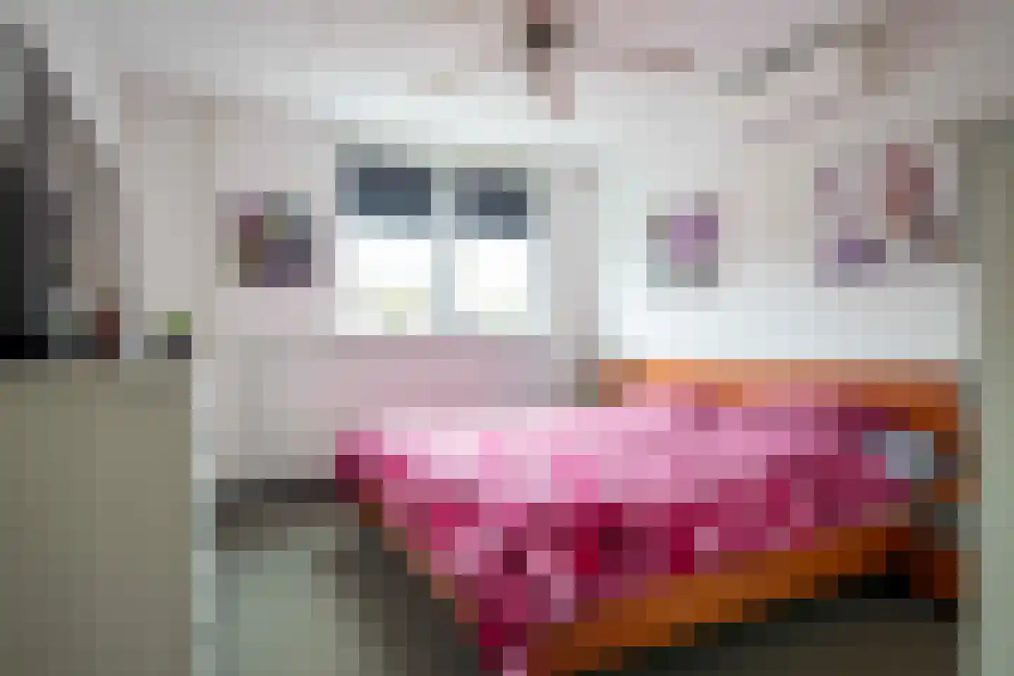 Het Kerspel 40 Hasselt thumbnail 36