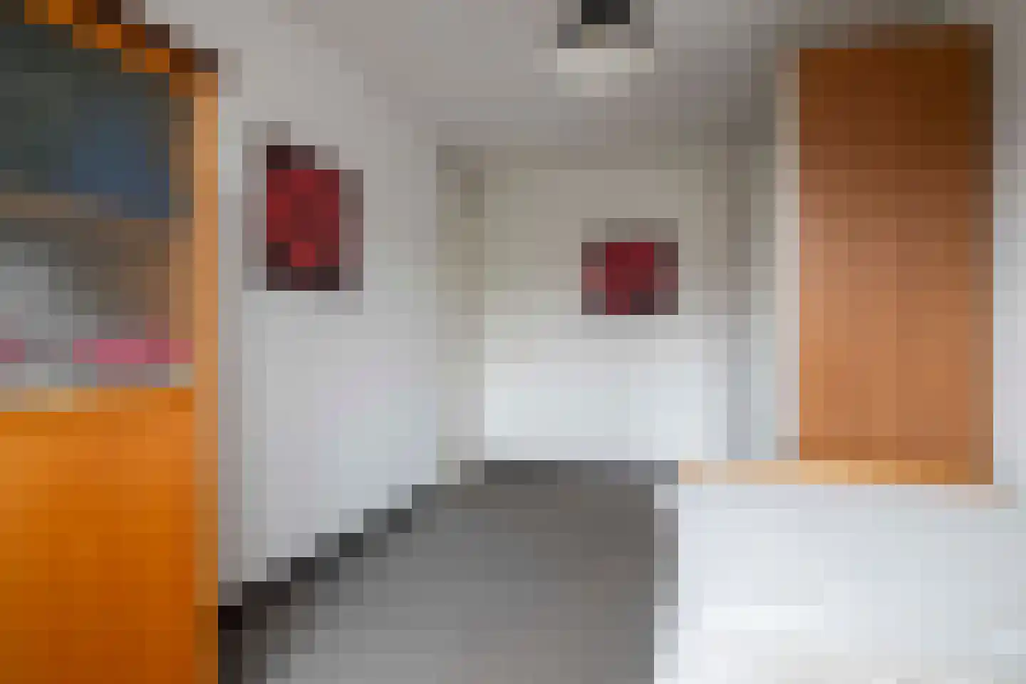 Het Kerspel 40 Hasselt thumbnail 37
